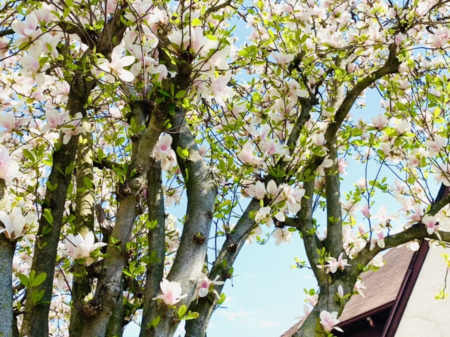 IMG_3922.jpg?type=w966