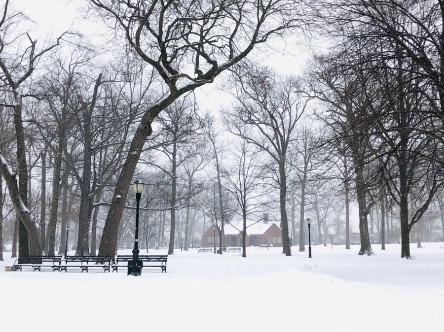 IMG_3384.jpg?type=w966