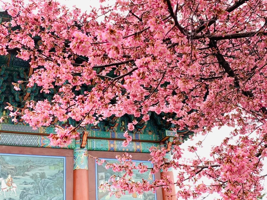 IMG_5269.jpg?type=w966