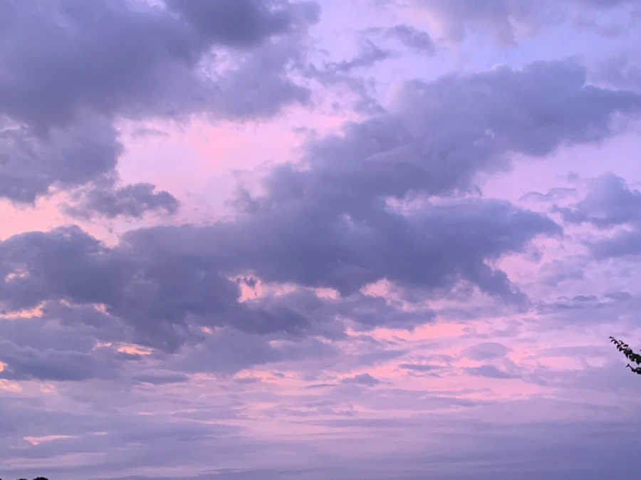 IMG_1629.jpg?type=w966