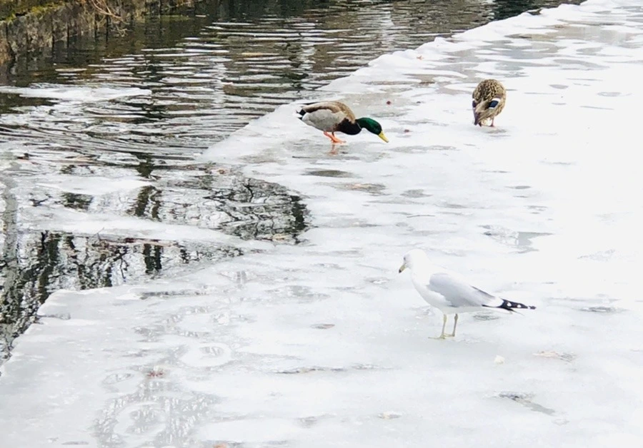 Pu2EkghJ2YUq_BKLX9QMhuKK2L8