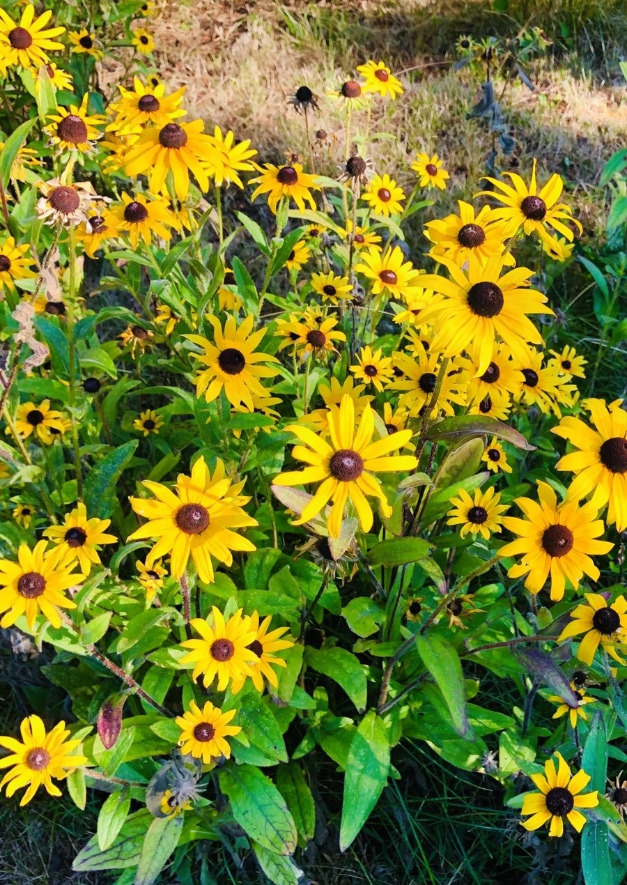 IM56eU0Jpbws4iyGMS97O5vqnx8