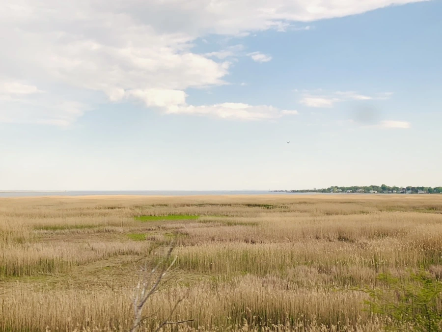 IMG_3203.jpg?type=w966