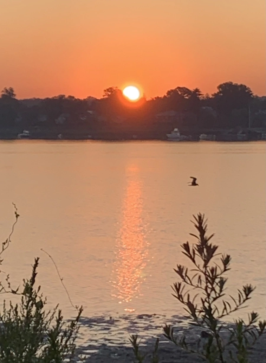 IMG_7184.jpg?type=w966