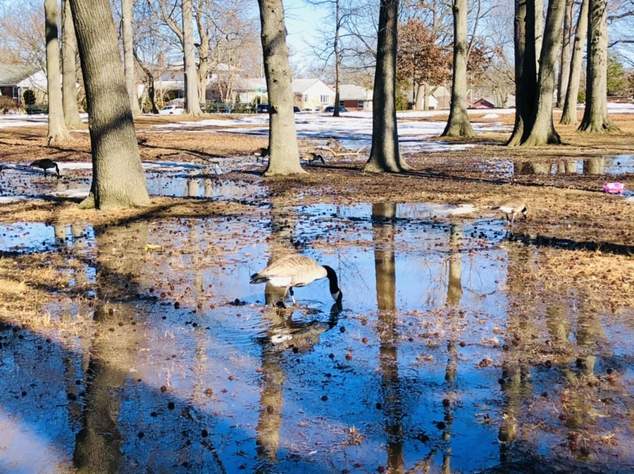 IMG_4969.jpg?type=w966