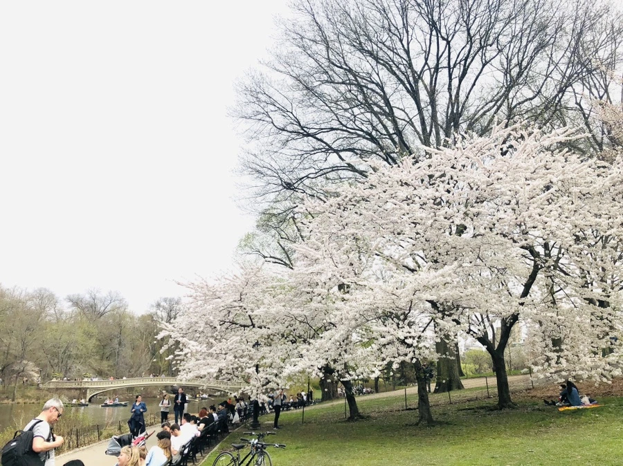 IMG_2955.jpg?type=w966