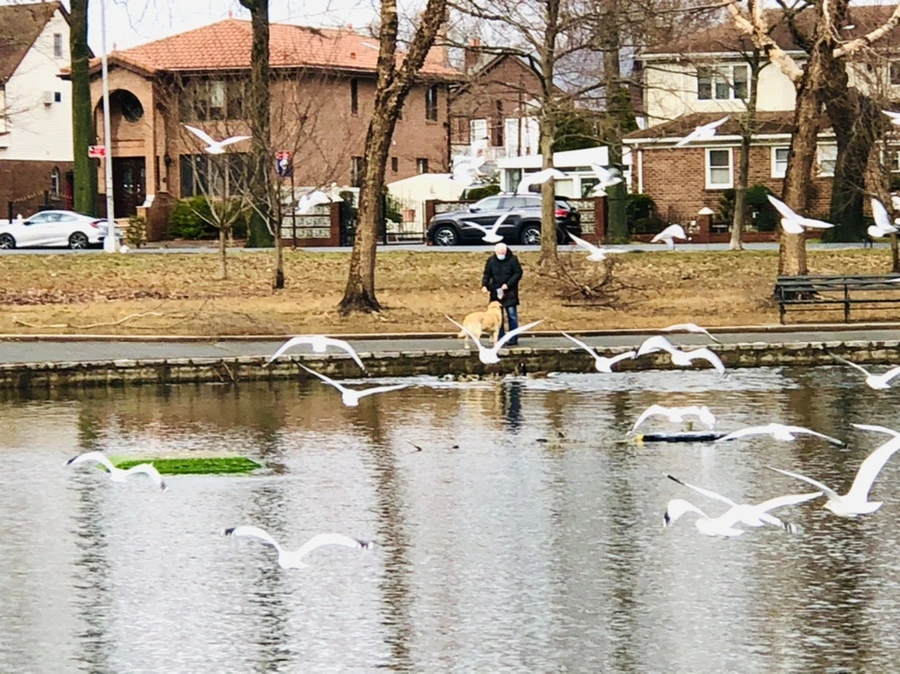 IMG_8639.jpg?type=w966