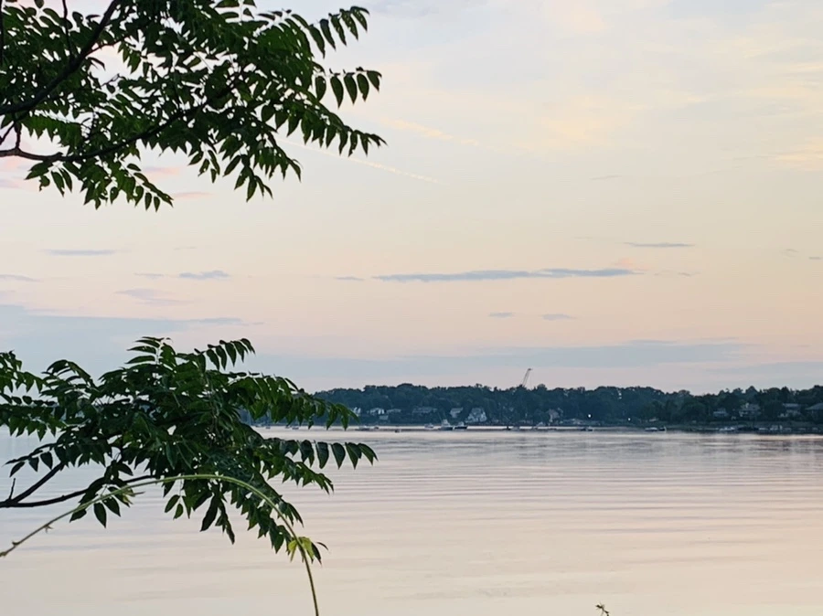 IMG_1179.jpg?type=w966