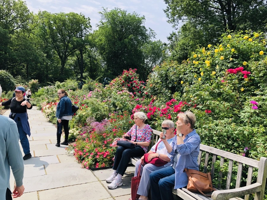 IMG_5665.jpg?type=w966