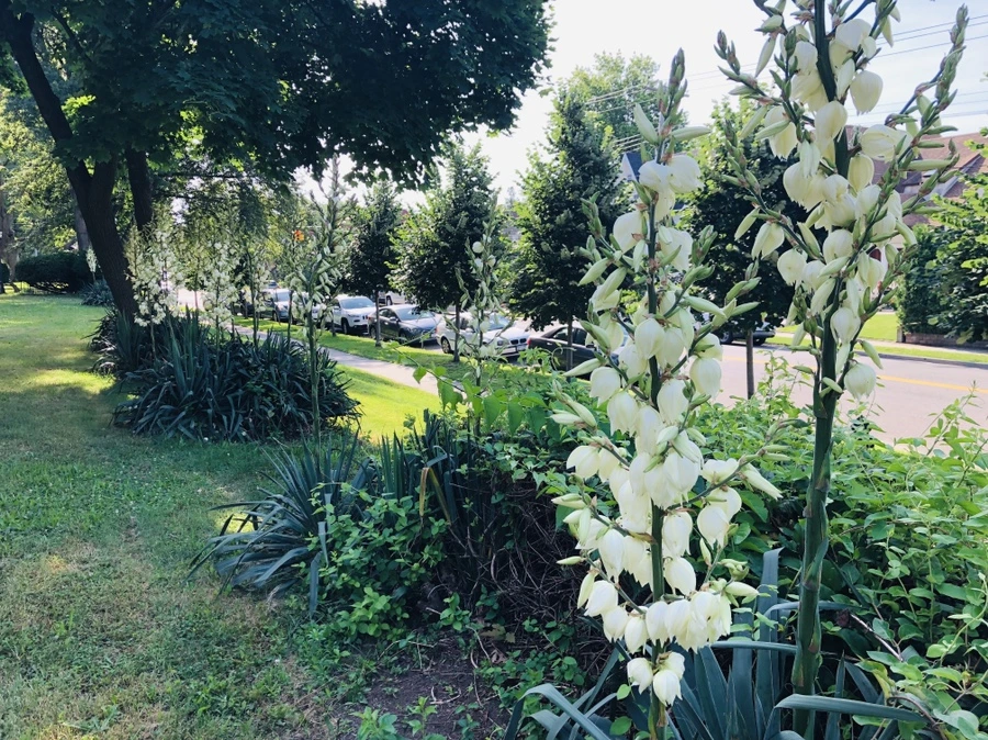 IMG_6763.jpg?type=w966