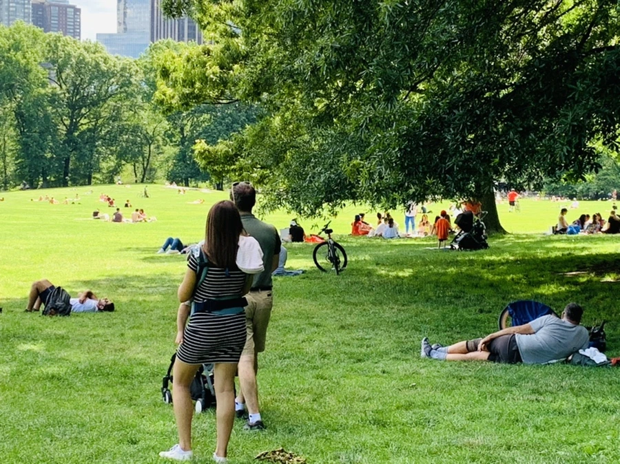 IMG_6392.jpg?type=w966