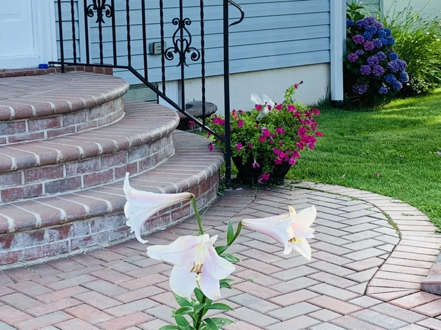 IMG_0344.jpg?type=w966