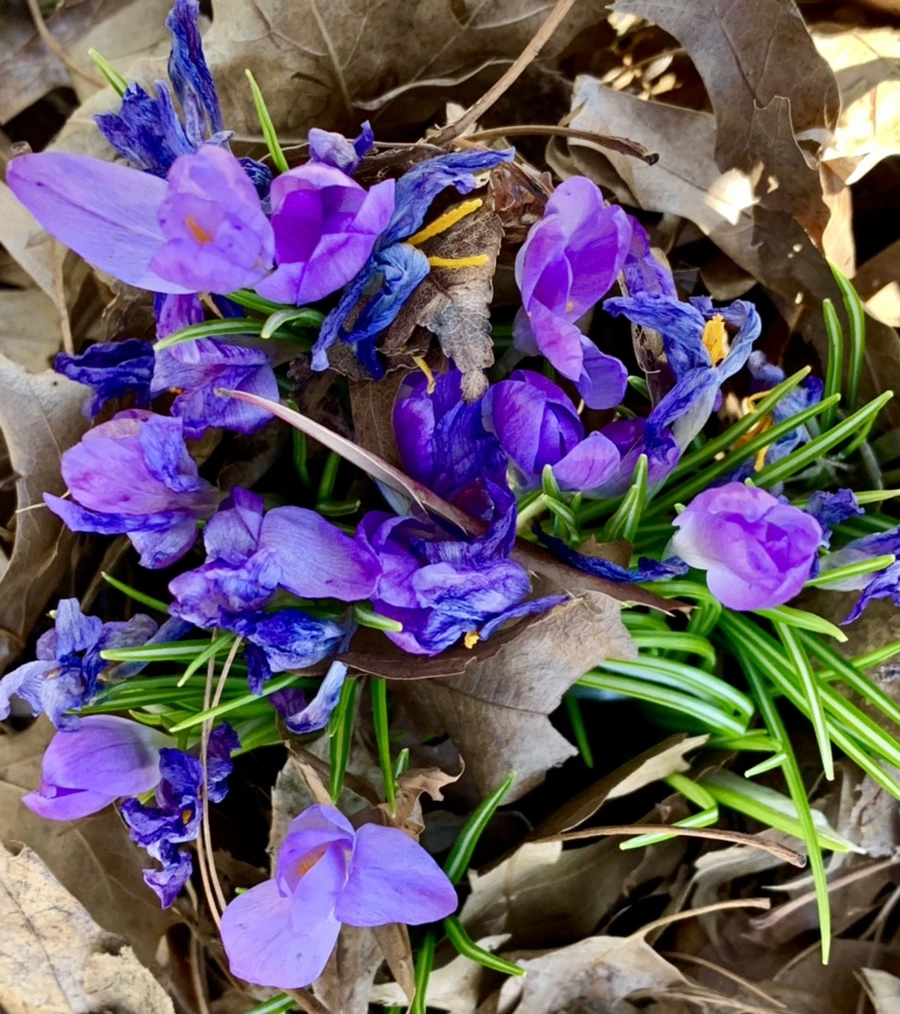 IMG_1431.jpg?type=w966