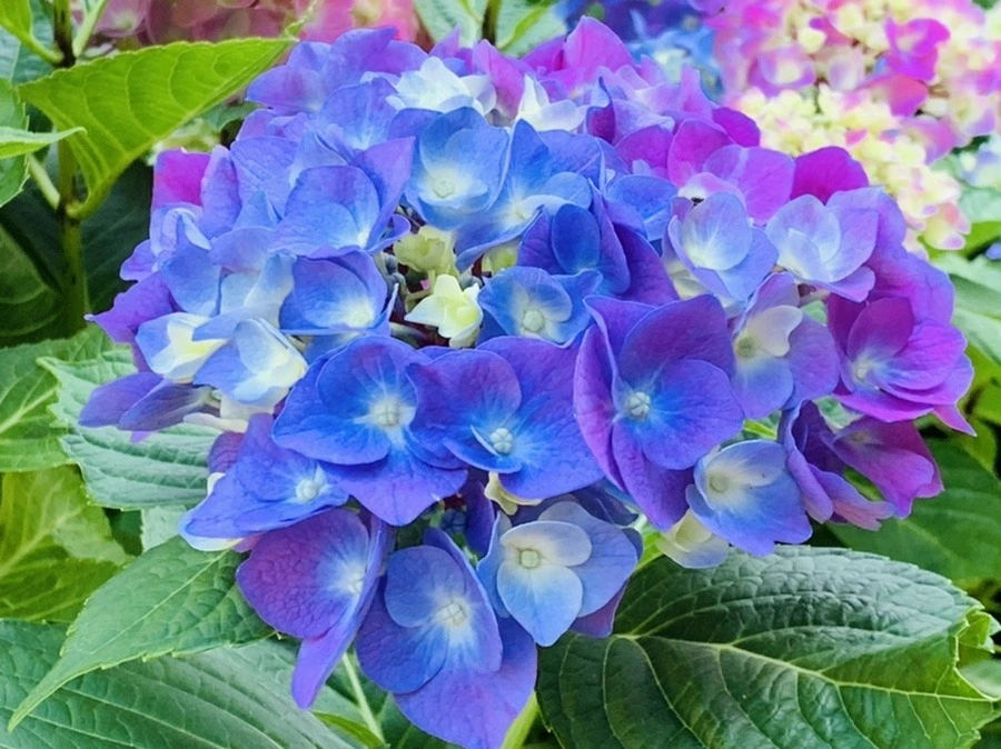 OnY_gCOFwQZKM8xga6NTR5NgWfk