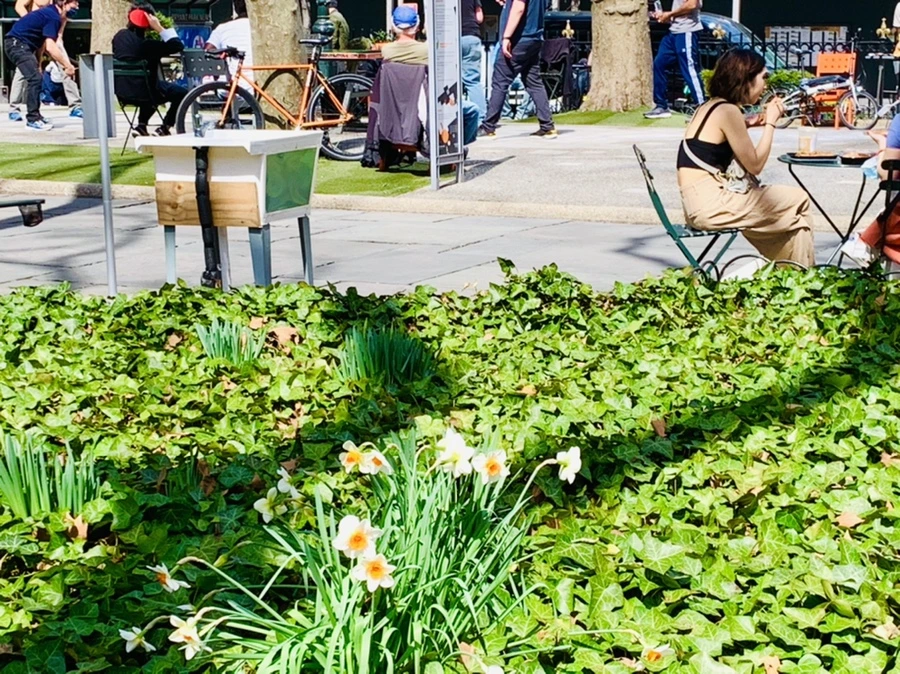 IMG_4629.jpg?type=w966