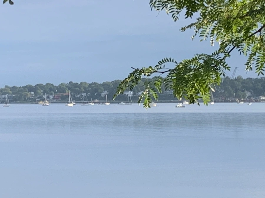 IMG_7760.jpg?type=w966