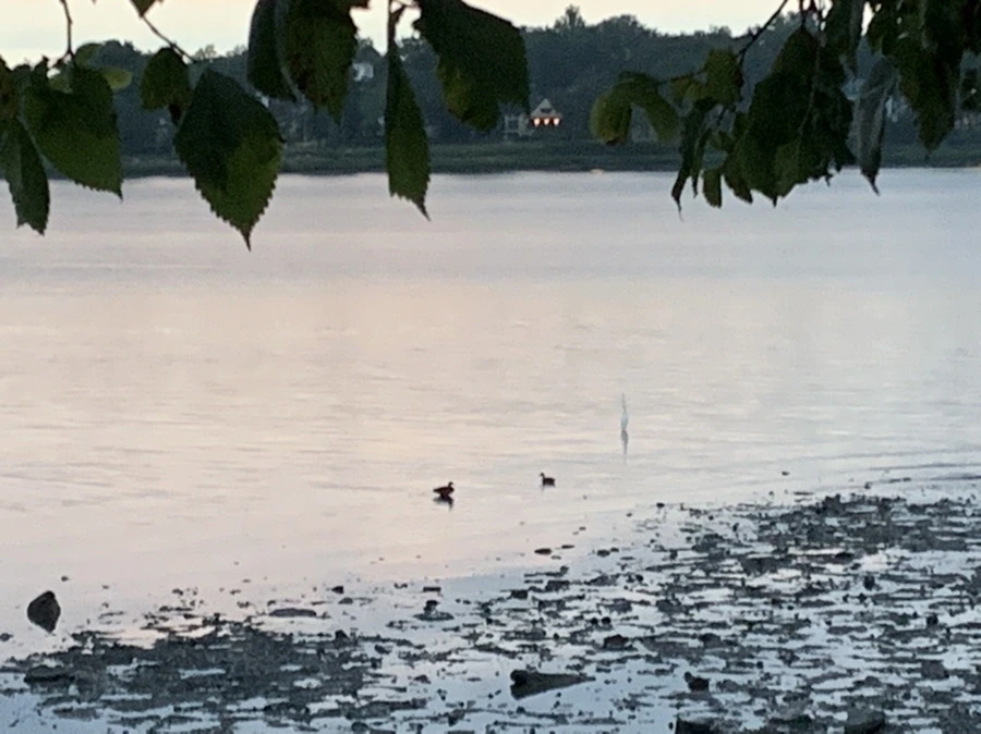 IMG_9573.jpg?type=w966