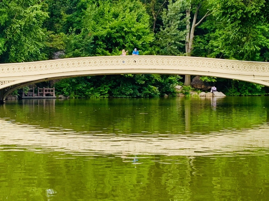 IMG_1720.jpg?type=w966