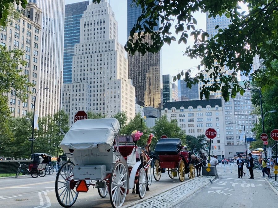 IMG_9724.jpg?type=w966