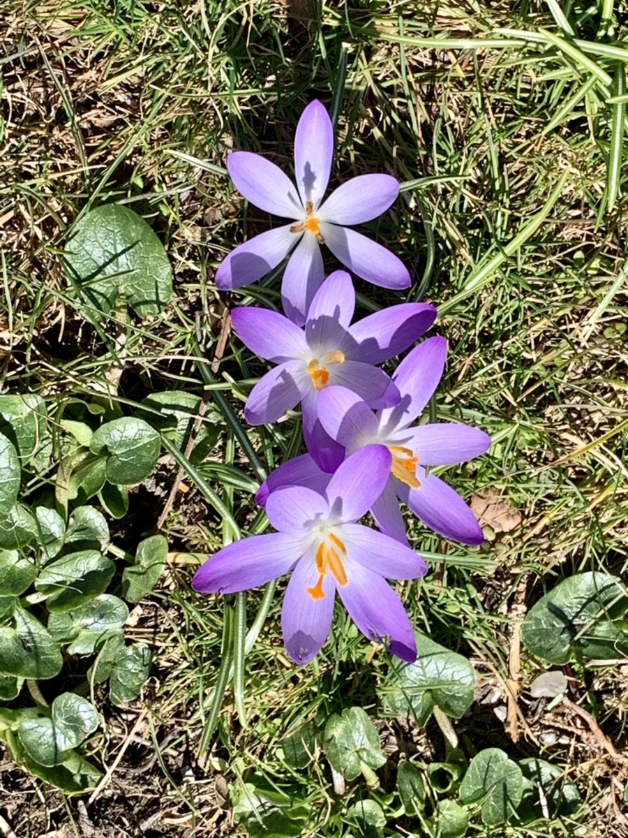 IMG_9199.jpg?type=w966