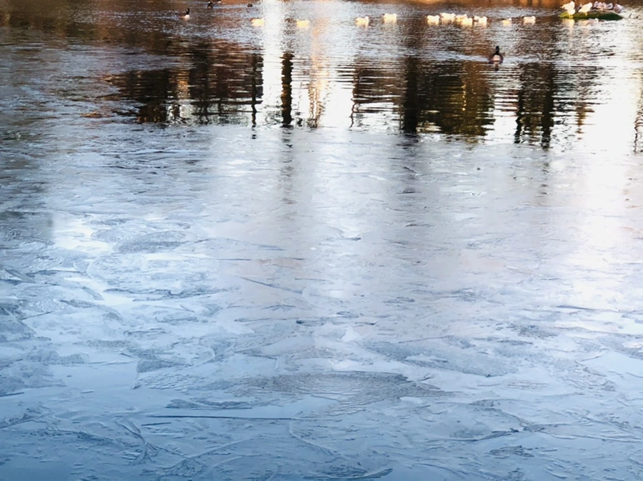 IMG_0792.jpg?type=w966