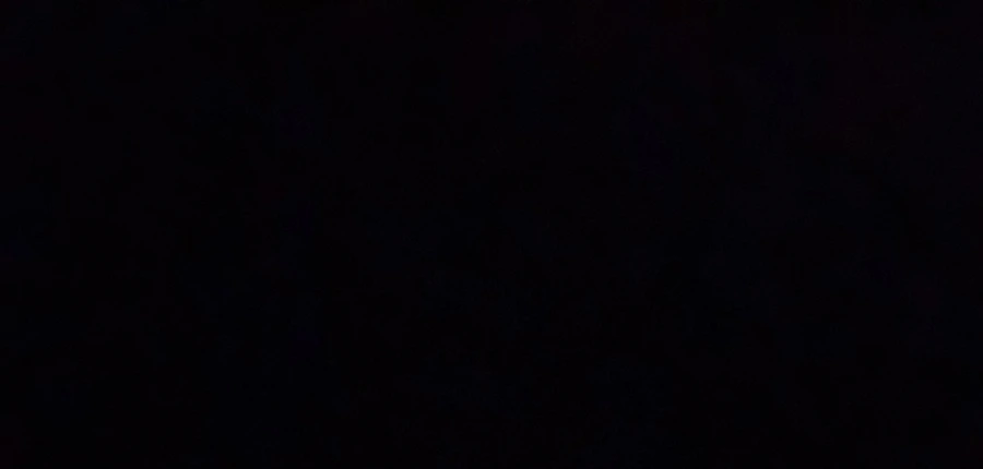 IMG_0095.jpg?type=w966