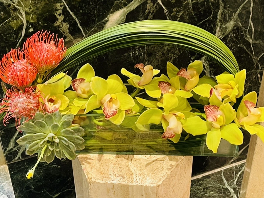 IMG_5374.jpg?type=w966