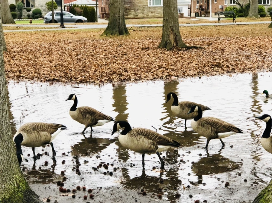 IMG_9657.jpg?type=w966