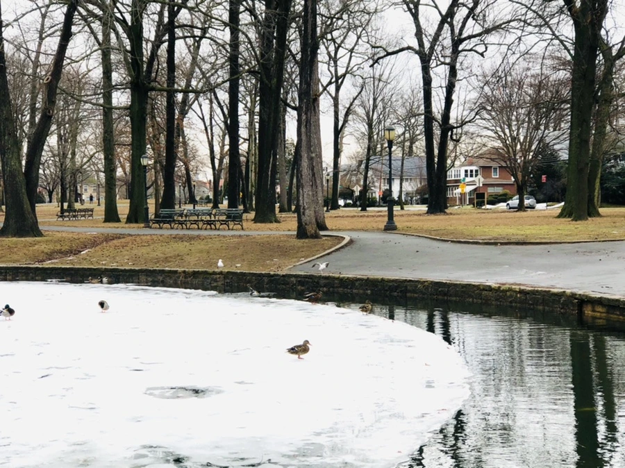 IMG_6237.jpg?type=w966