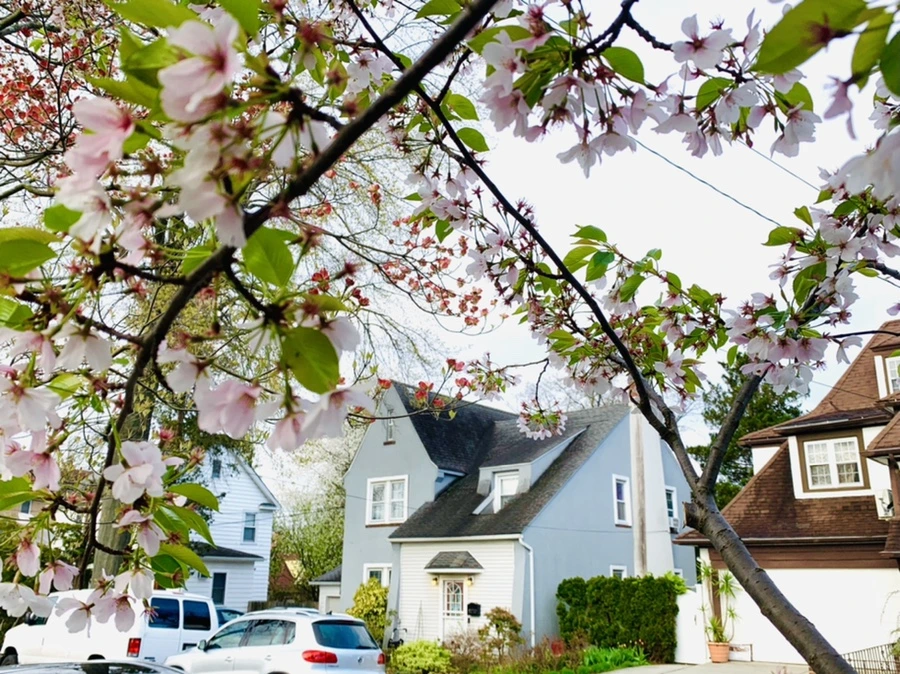 IMG_2793.jpg?type=w966