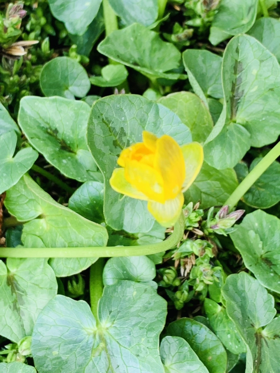 IMG_5332.jpg?type=w966