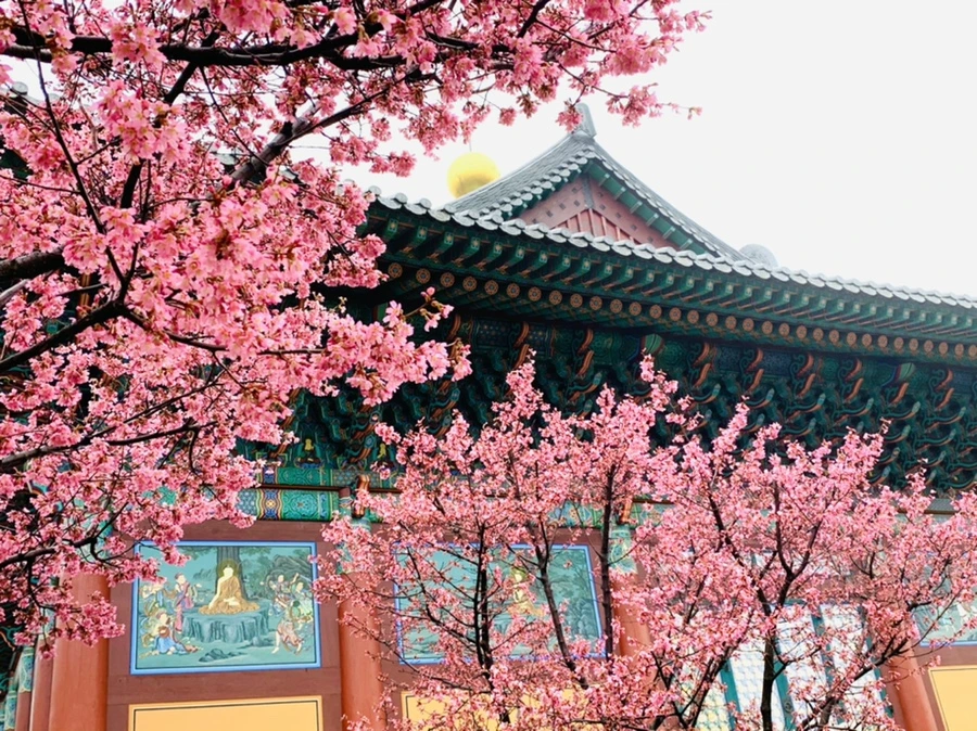 IMG_5212.jpg?type=w966