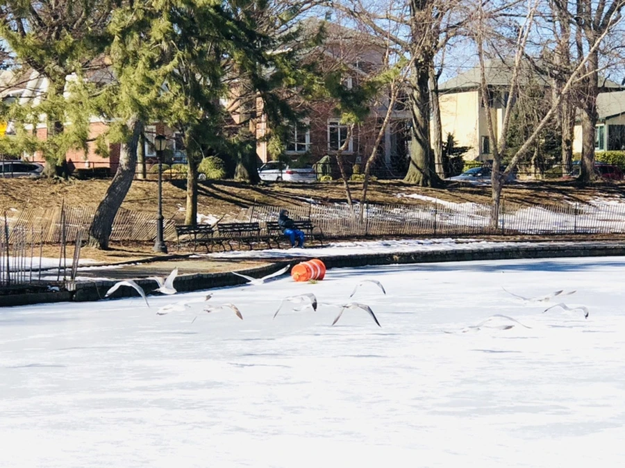 IMG_4760.jpg?type=w966