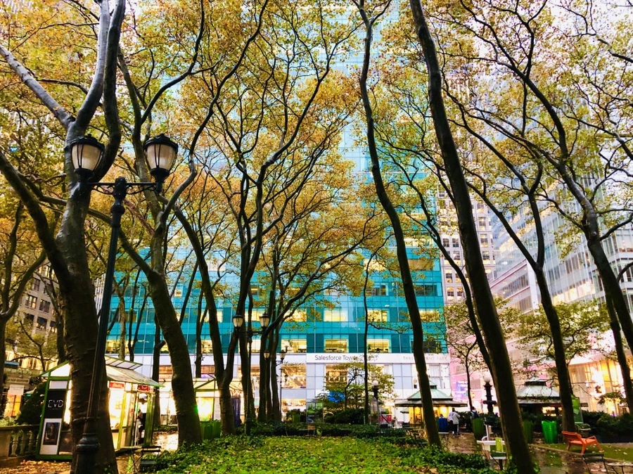 IMG_4447.jpg?type=w966