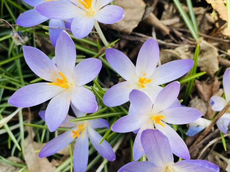 IMG_5316.jpg?type=w966