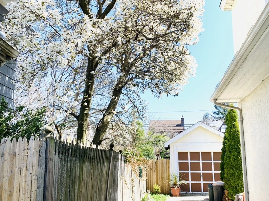 6--GS3MaYlwfwzJctJ7Rf83Nxh4