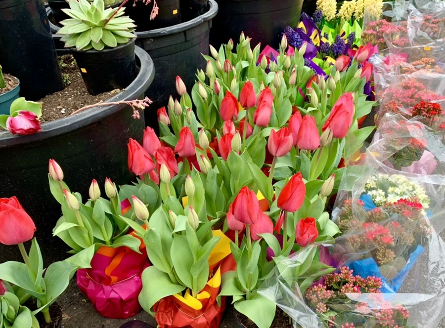 IMG_1732.jpg?type=w966