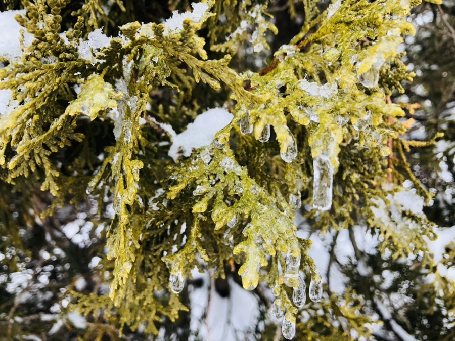 IMG_3613.jpg?type=w966