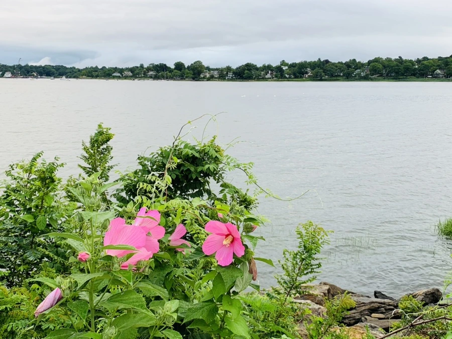 IMG_7722.jpg?type=w966