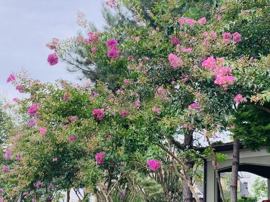 IMG_5956.jpg?type=w966