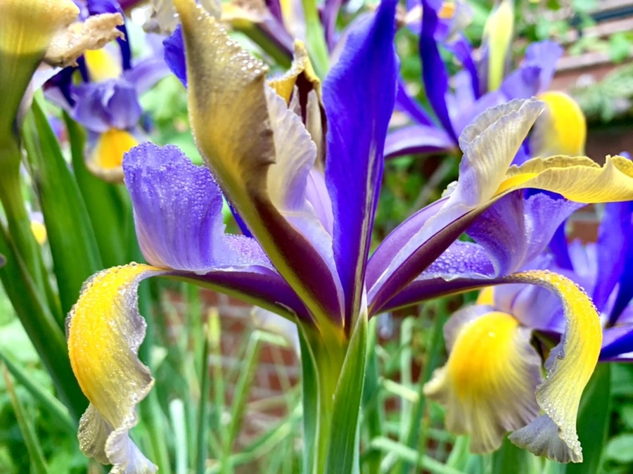 IMG_9702.jpg?type=w966