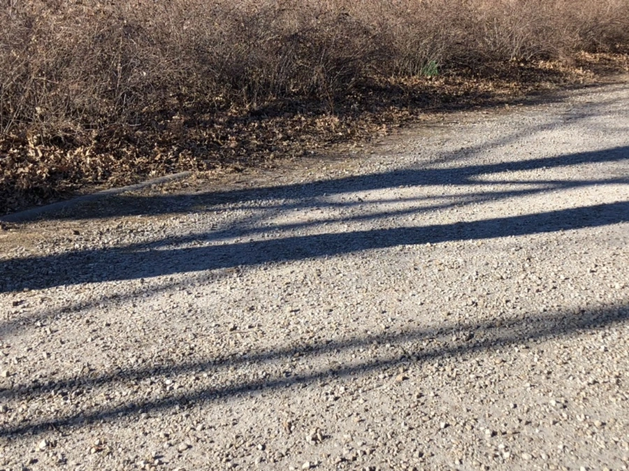 IMG_8150.jpg?type=w966