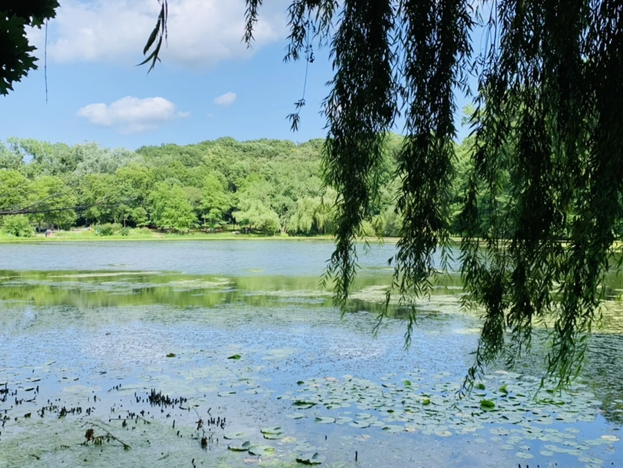 IMG_7628.jpg?type=w966