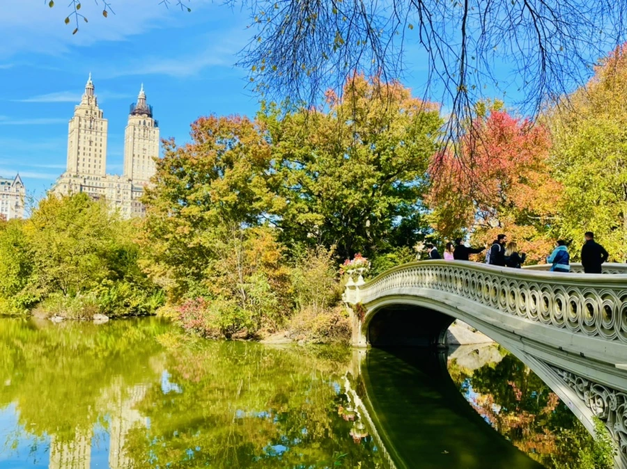 IMG_0255.jpg?type=w966