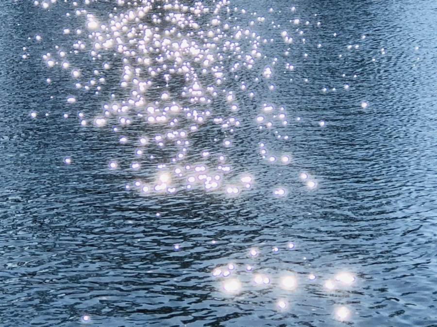 IMG_0229.jpg?type=w966