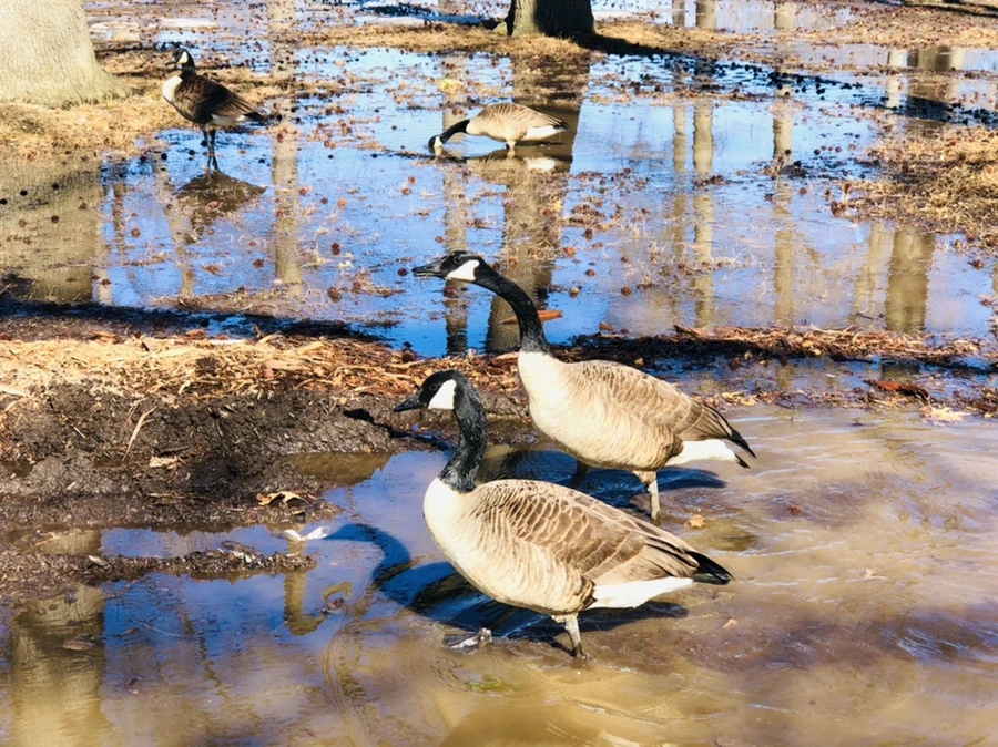 IMG_4663.jpg?type=w966