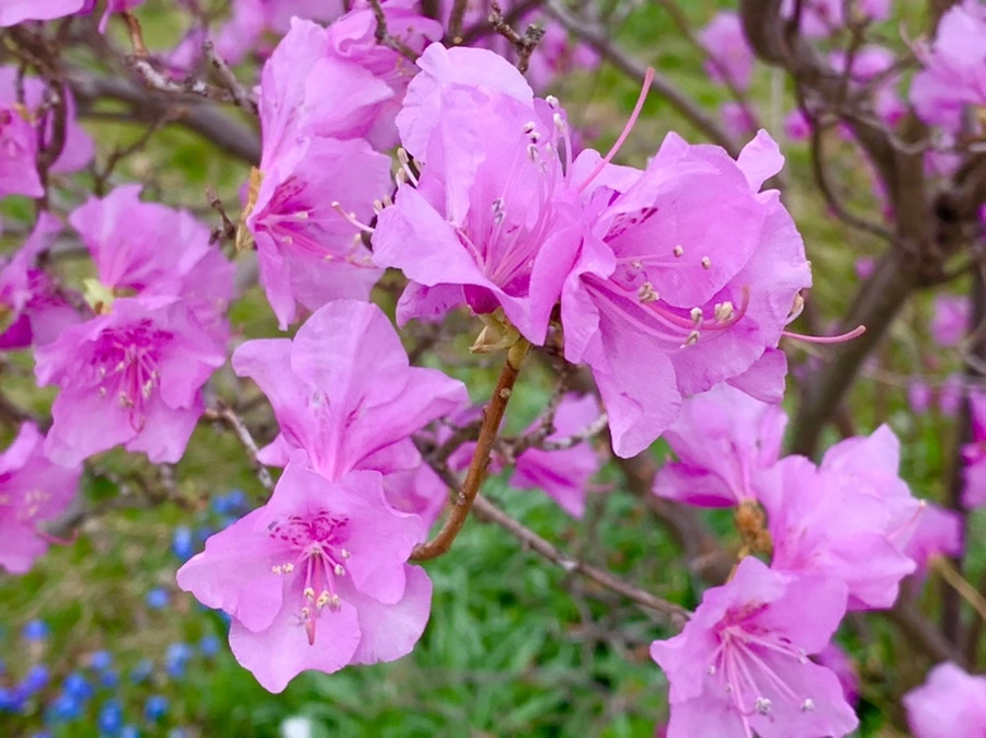 IMG_5950.jpg?type=w966