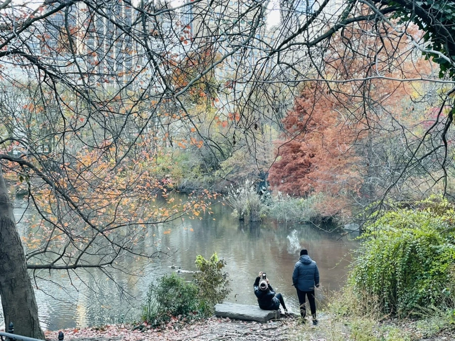 IMG_5033.jpg?type=w966