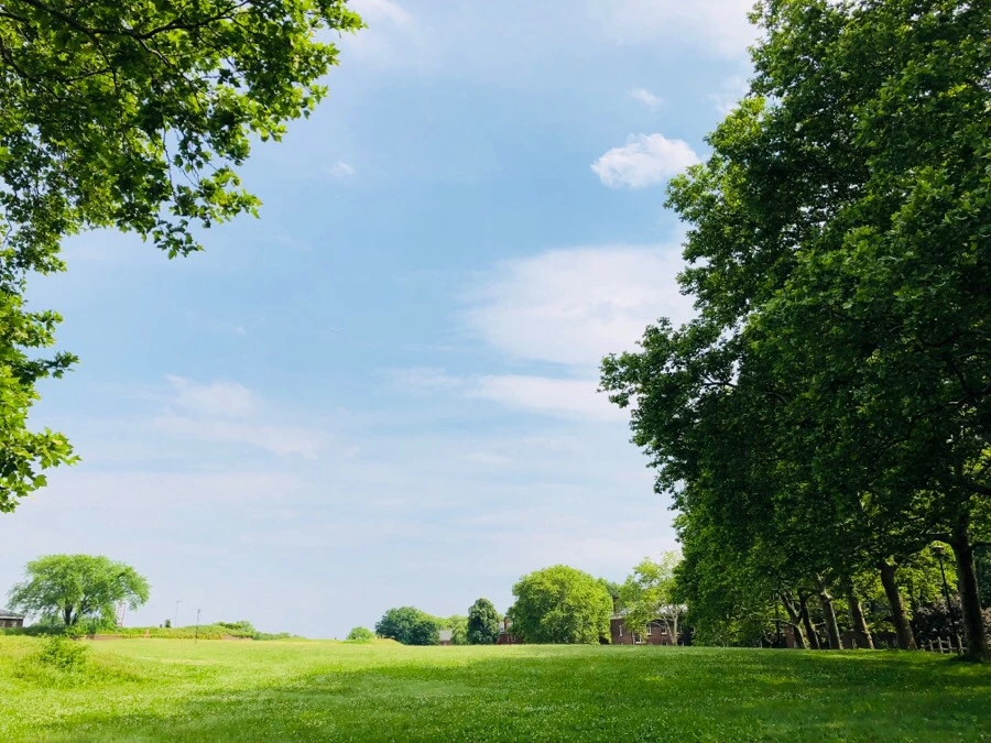 IMG_7458.jpg?type=w966