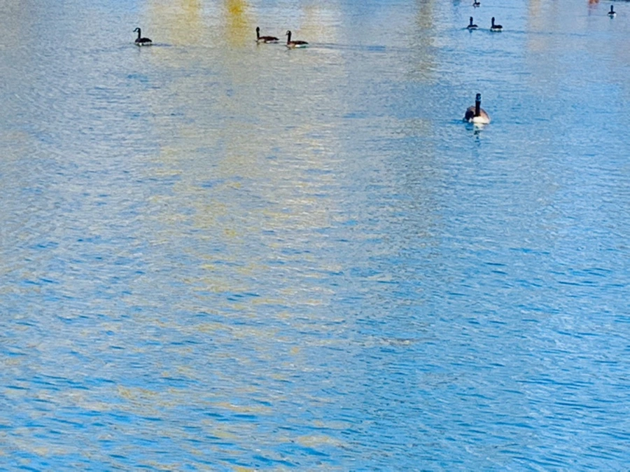 IMG_9922.jpg?type=w966